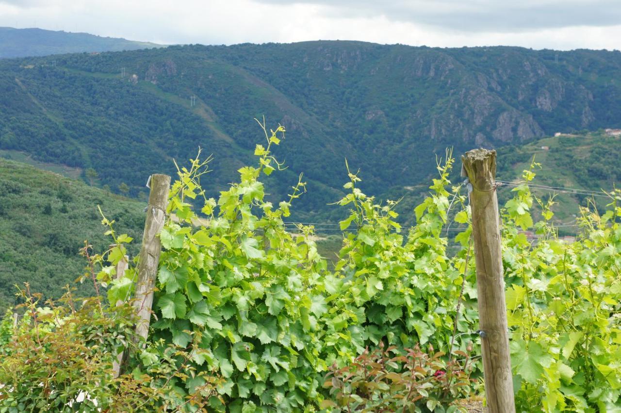 דירות Barantes O Muino Casa Ferrador Ribeira Sacra מראה חיצוני תמונה